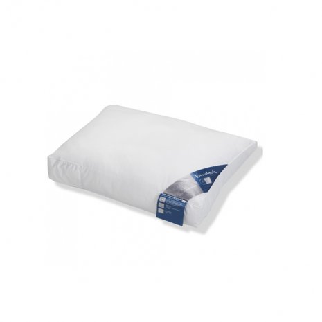 Allergy Free Stevig