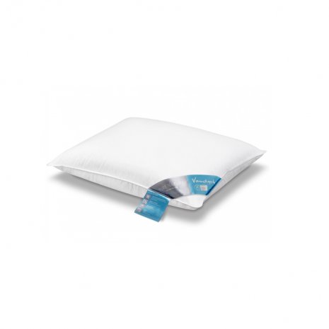 Stevig Hoofdkussen 'Blauw Label'